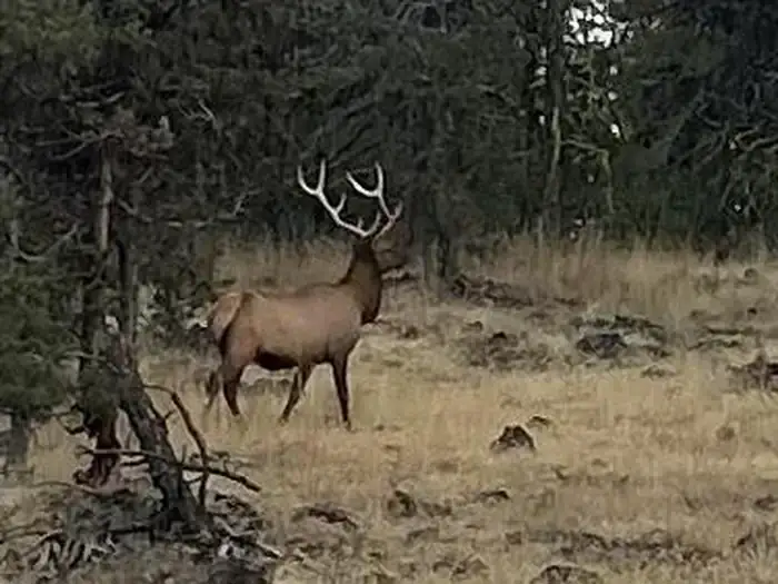 Camper-submitted photo at Bull Prairie Campground (OR) near Kimberly, OR