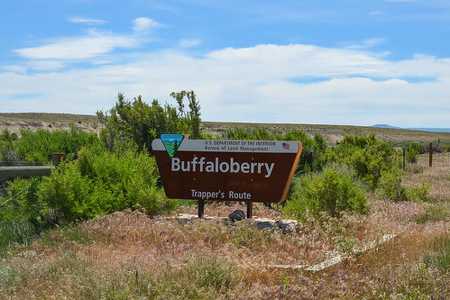 Buffaloberry Campground sign

Credit: