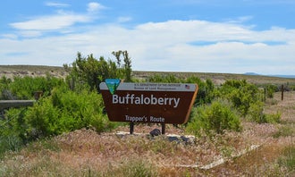 Buffaloberry Campground