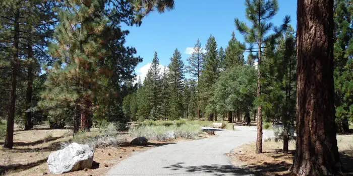 Camper submitted image from Barton Flats Family Campground