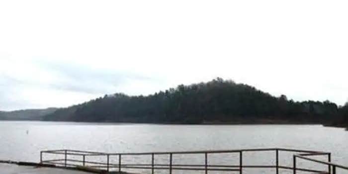 Camper submitted image from Little Coon Creek