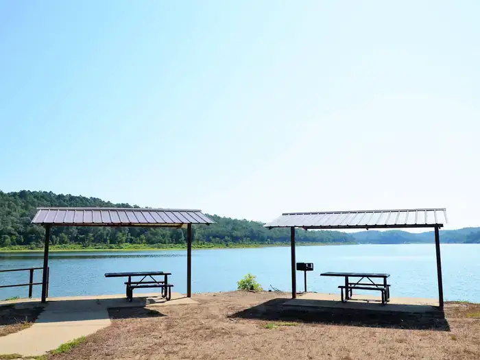 Camper-submitted photo at Little Coon Creek near Gillham Lake