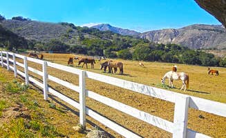 The Dyrt's photo of camping with pets at Thousand Trails Rancho Oso near Los Padres National Forest
