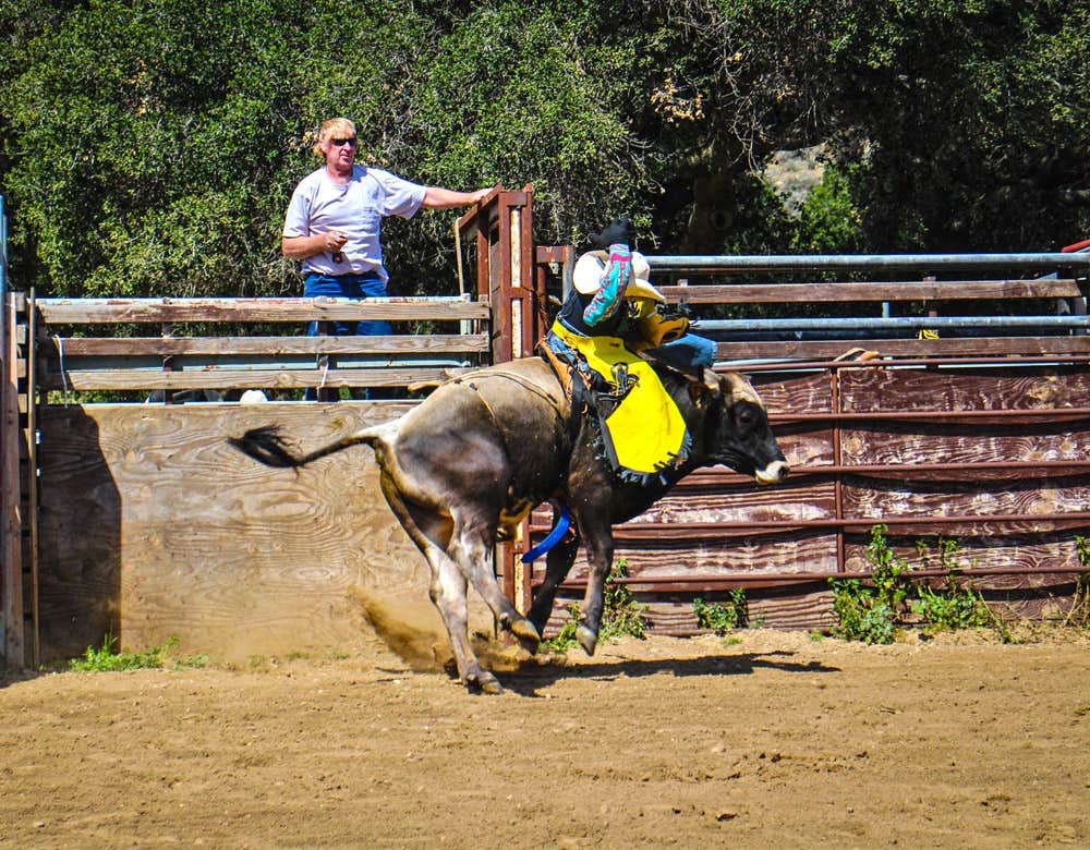 Camper-submitted photo at Thousand Trails Rancho Oso near Santa Barbara, CA