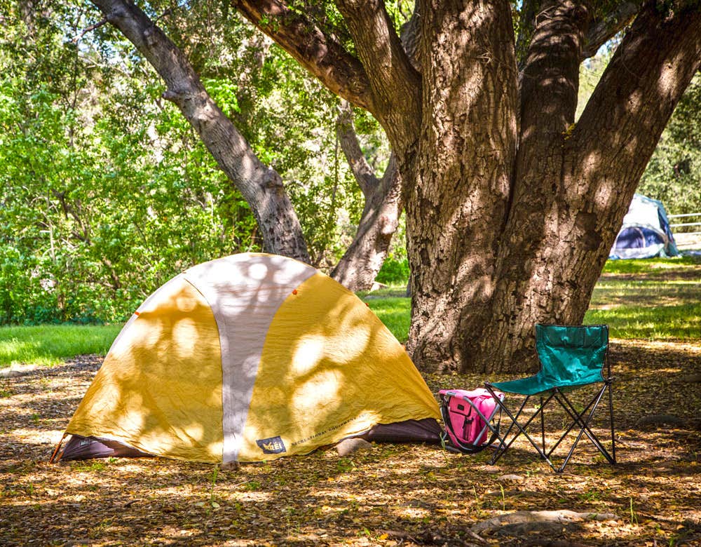 The Dyrt's photo at Thousand Trails Rancho Oso near Goleta, CA