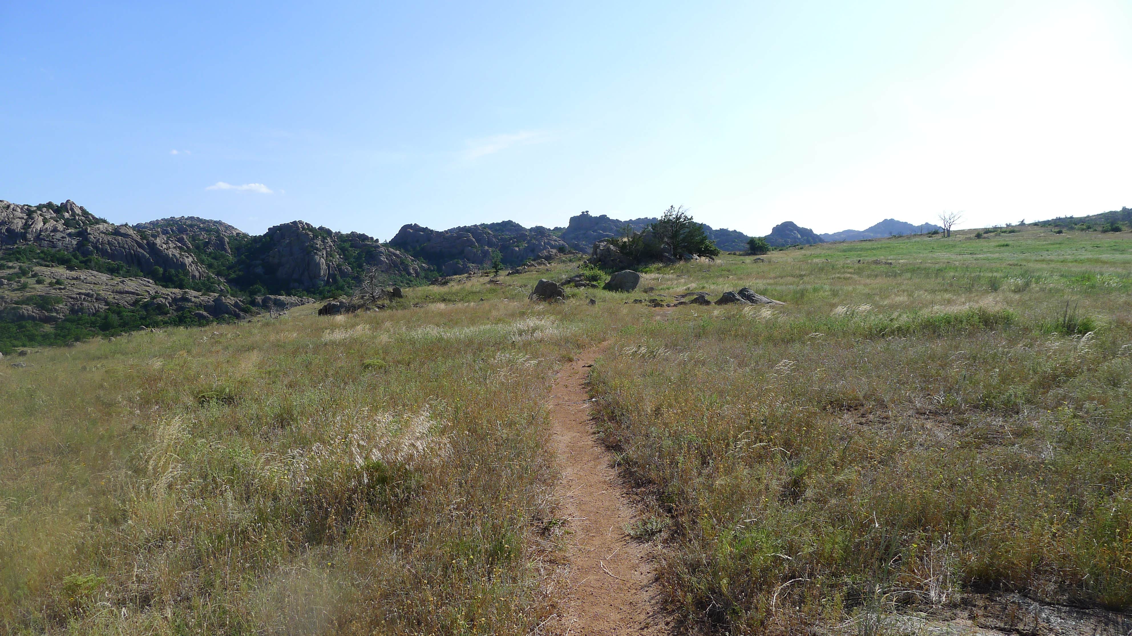 Camper submitted image from Camp Doris - 5
