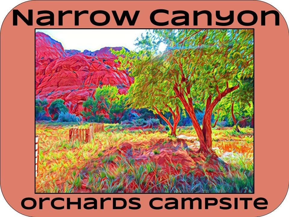 Camper submitted image from Narrow Canyon Orchards Campsite - 1