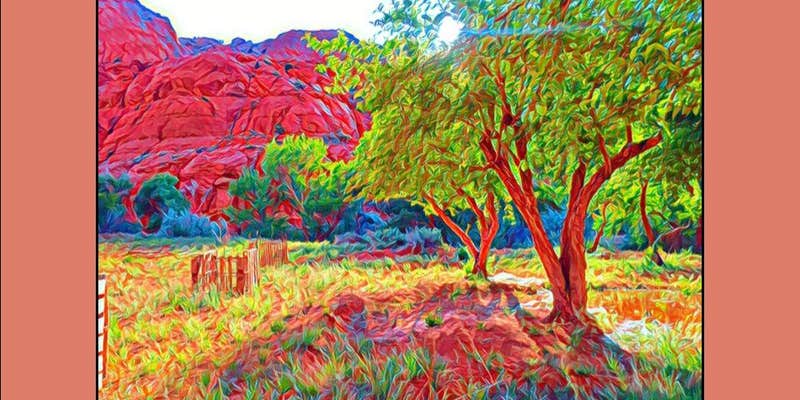 Camper submitted image from Narrow Canyon Orchards Campsite