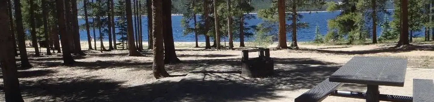 Camper-submitted photo at Baby Doe near Minturn, CO