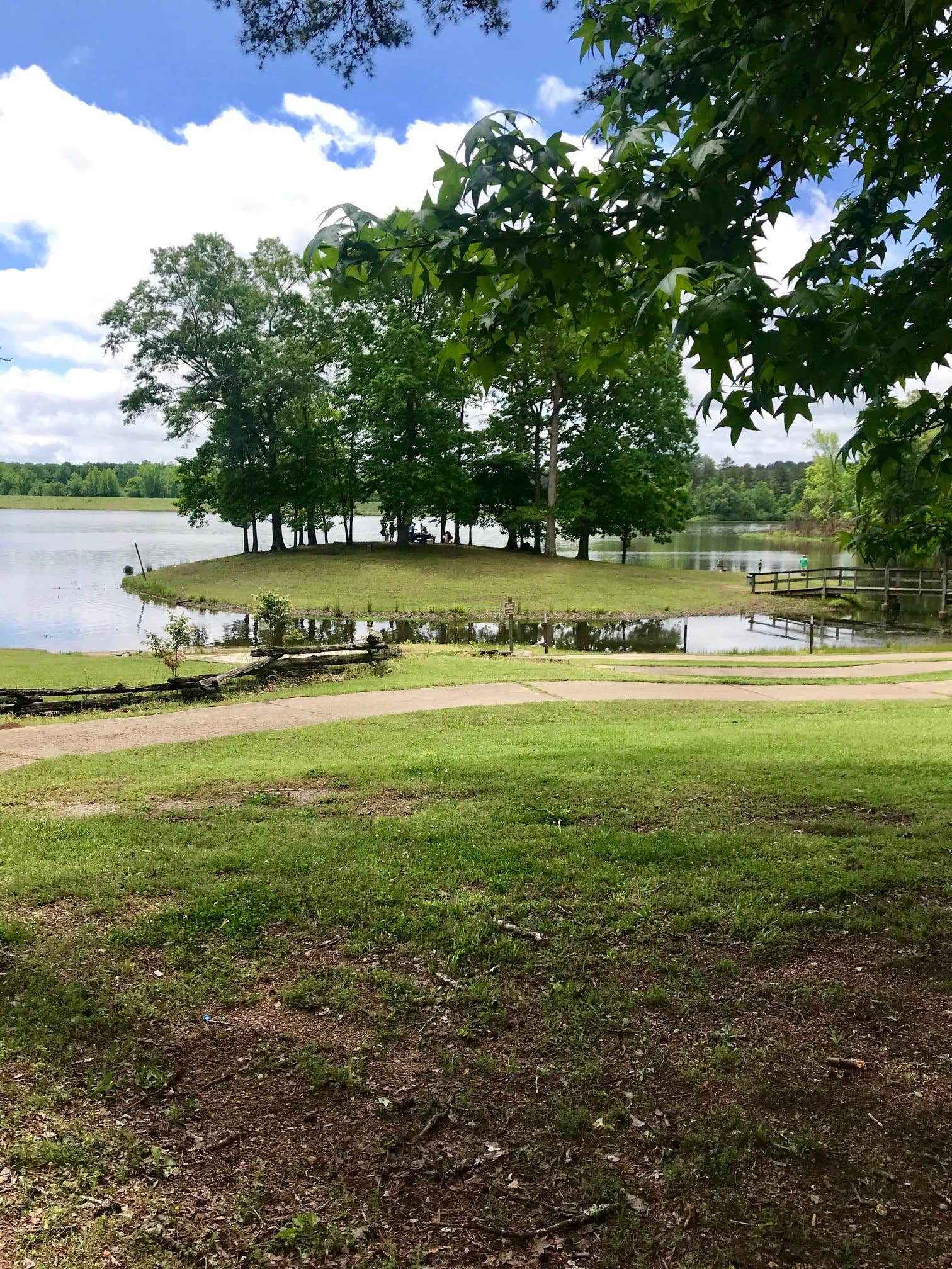 Camper submitted image from Chewalla Lake Recreation Area - 5