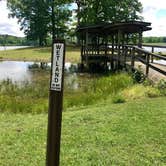 Review photo of Chewalla Lake Recreation Area by Shana D., August 30, 2019