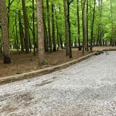 Review photo of Chewalla Lake Recreation Area by Shana D., August 30, 2019