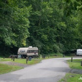 Review photo of Chief Logan State Park Campground by Jennifer B., August 30, 2019
