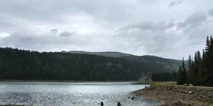 Camper submitted image from Grouse Campground