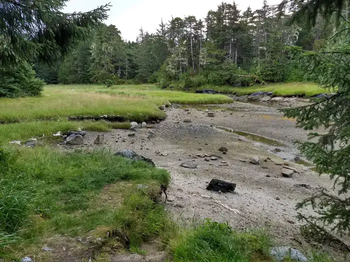 Camper-submitted photo at Sevenfathom Bay Cabin near Sitka, AK