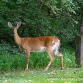 Review photo of Chief Logan State Park Campground by Jennifer B., August 30, 2019