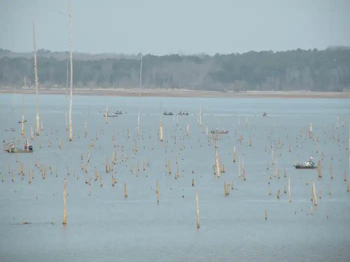 Camper submitted image from Water Valley Landing - 1