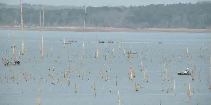 Camper submitted image from Water Valley Landing