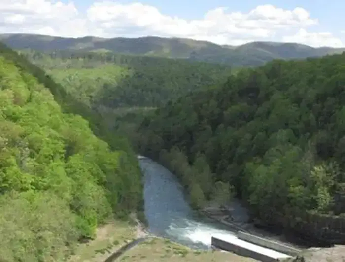 Camper-submitted photo at Morris Hill Campground near Buchanan, VA