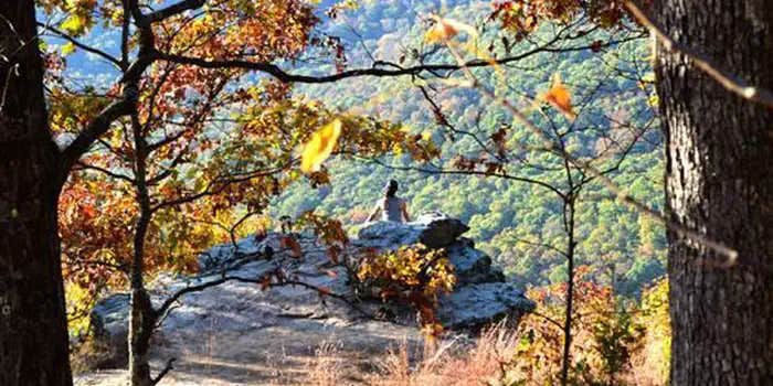 Camper submitted image from White Rock Mountain Recreation Area