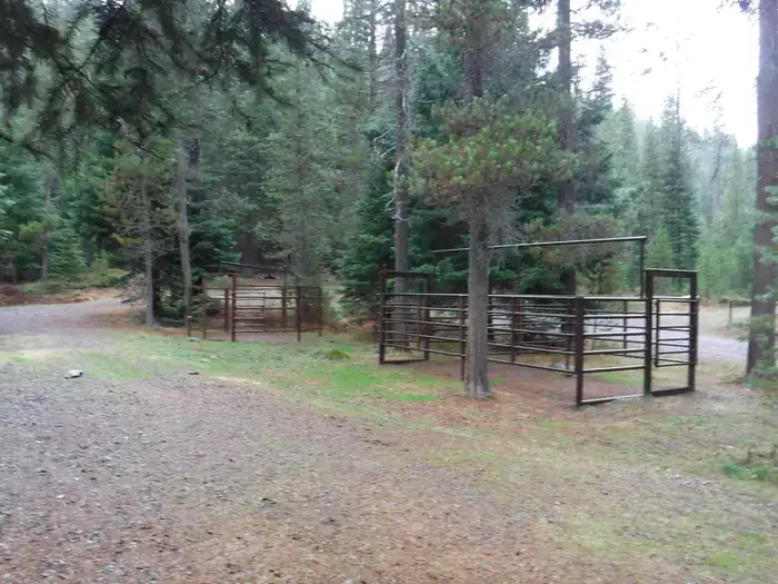 Camper-submitted photo at Kelsay Valley Horse Camp near Umpqua National Forest