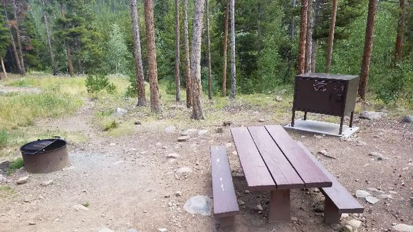 Camper-submitted photo at West Chicago Creek near Silver Plume, CO