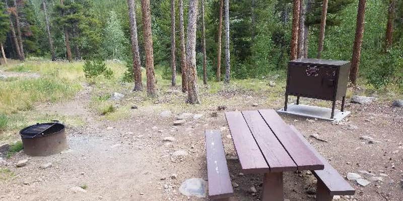 Camper submitted image from West Chicago Creek