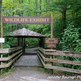 Review photo of Chief Logan State Park Campground by Jennifer B., August 30, 2019