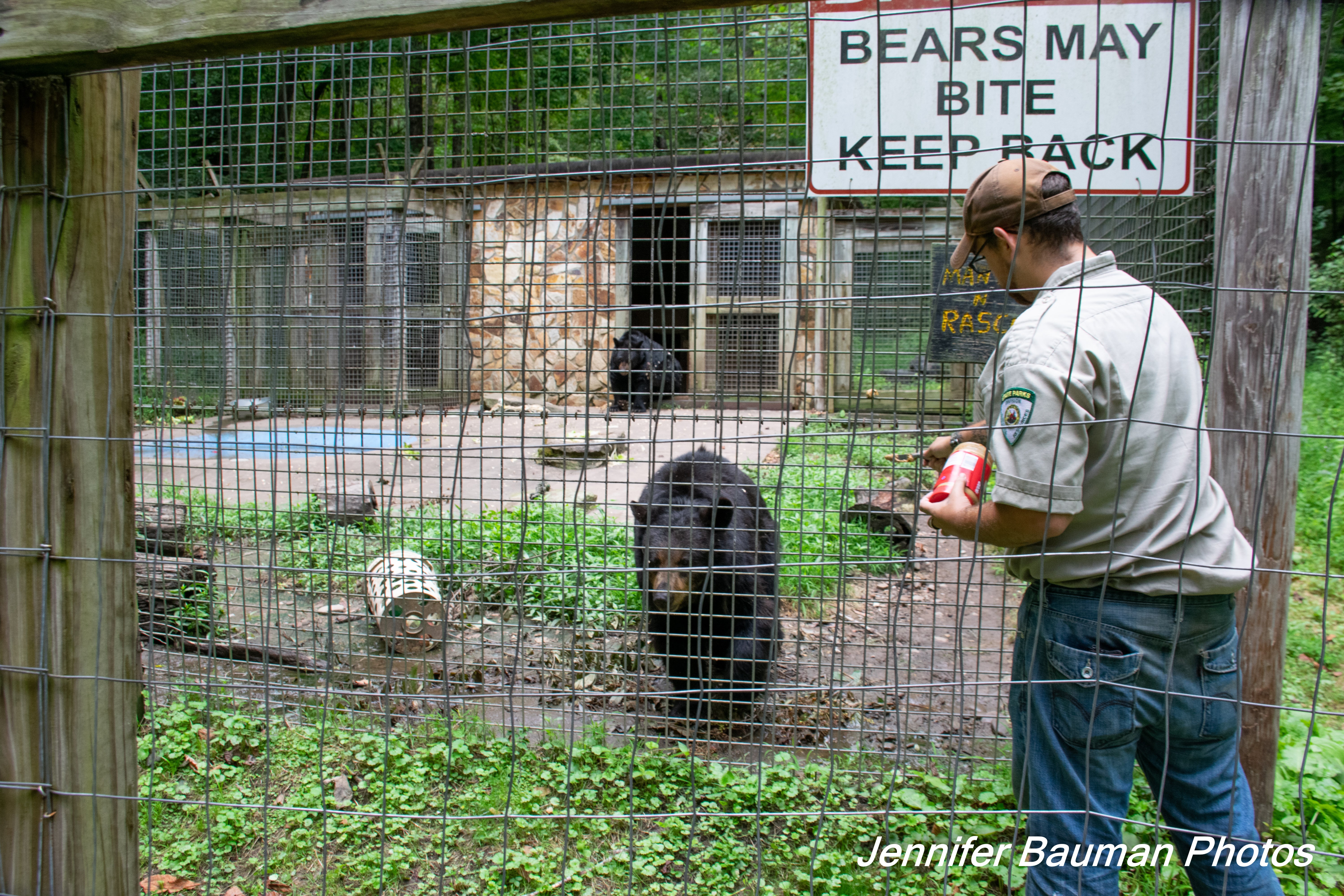 Caretaker putting honey and peanut butter on the bear enclosure.