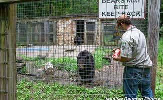 Jennifer B.'s photo of camping with pets at Chief Logan State Park Campground near Auxier, KY
