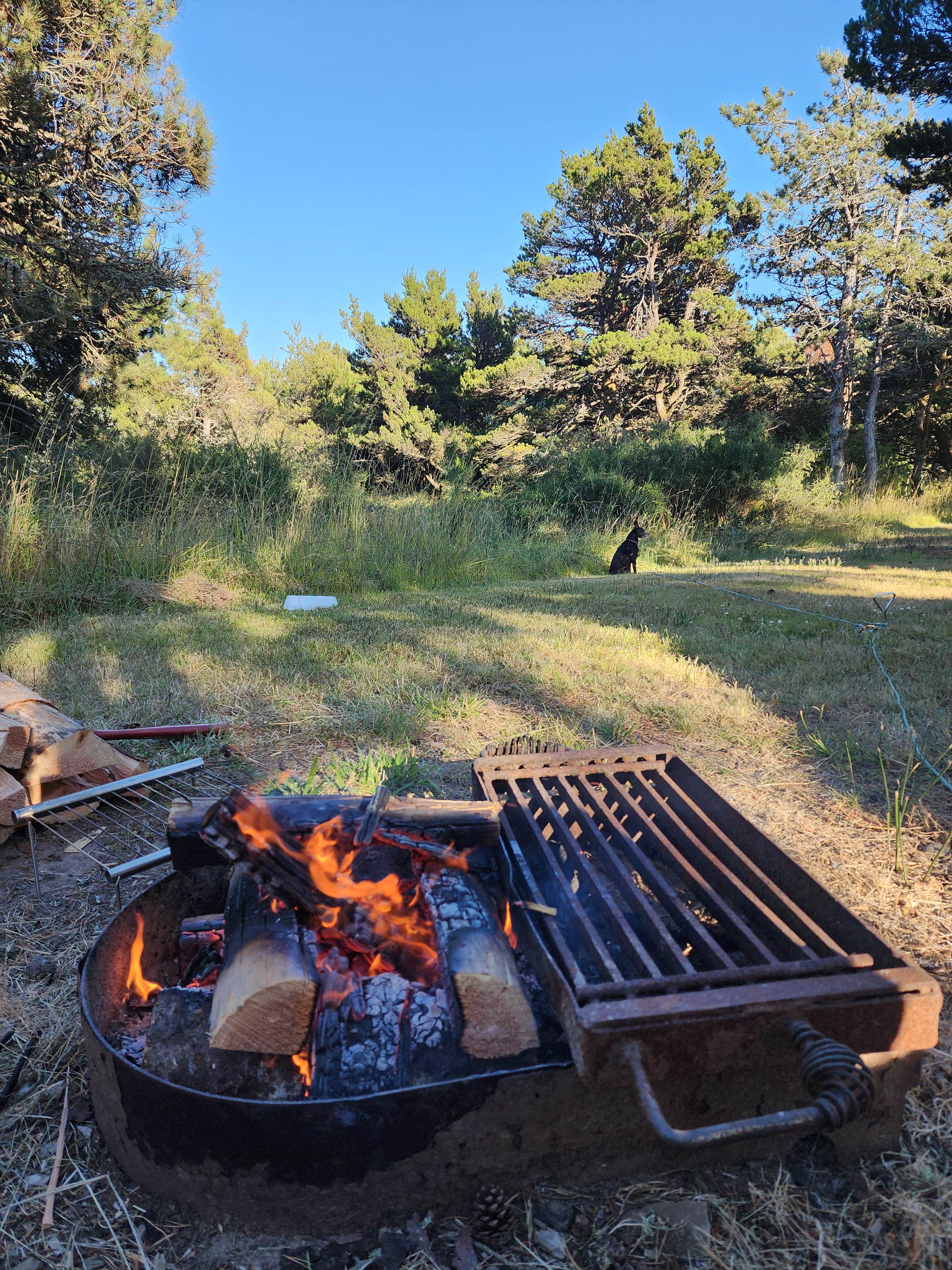 Mike's photo of camping with pets at Nehalem Bay State Park Campground near Cannon Beach, OR