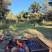 Review photo of Nehalem Bay State Park Campground by Mike , November 24, 2025