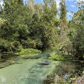 Review photo of Kelly Park Campground by Andrew M., November 24, 2025