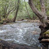 Review photo of Pisgah National Forest Wash Creek Horse Camp by Max O., August 24, 2019