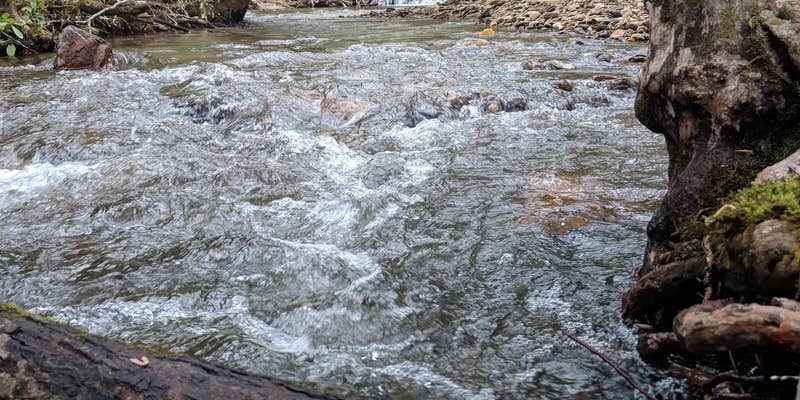 Camper submitted image from Pisgah National Forest Wash Creek Horse Camp