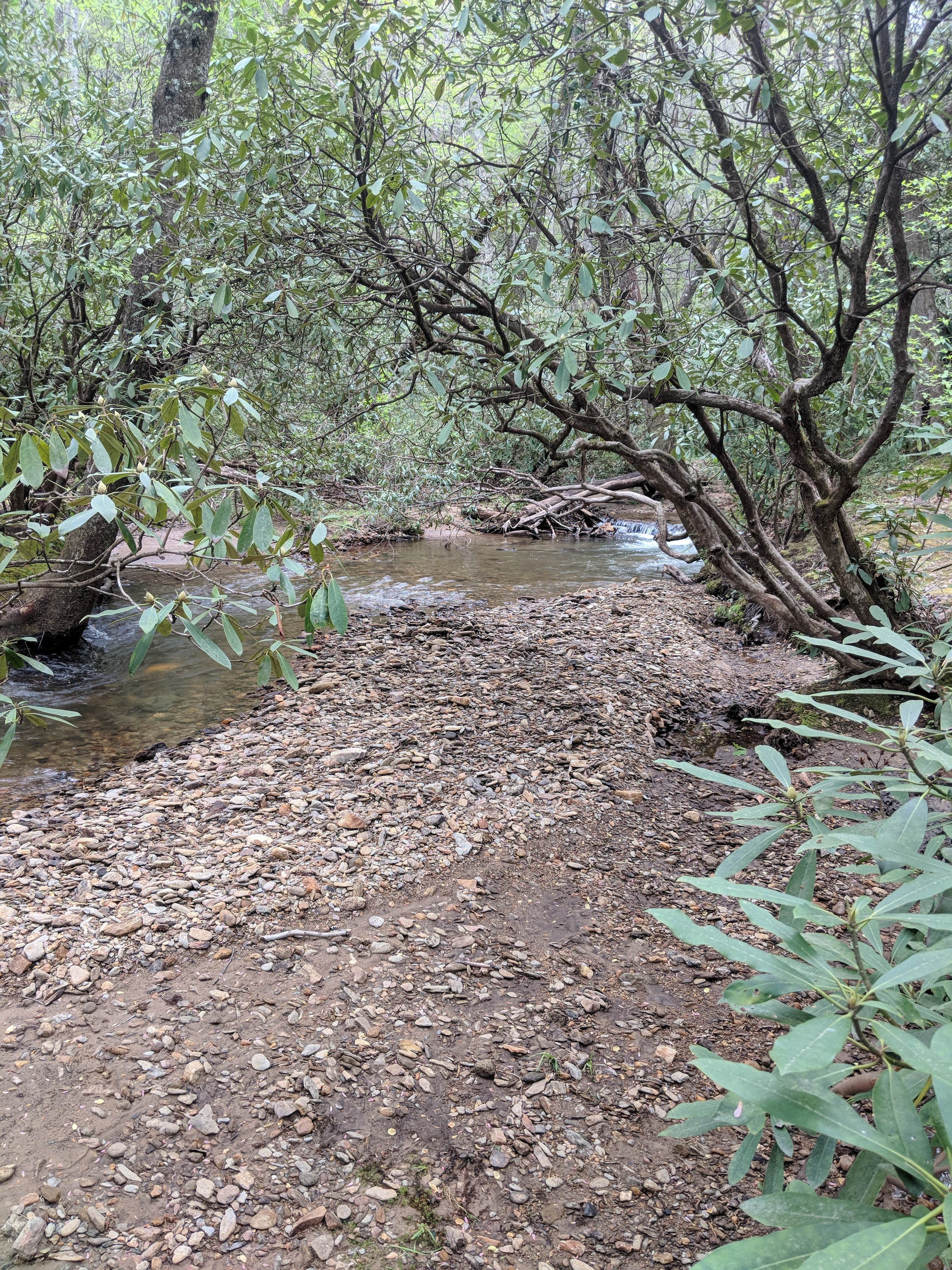Camper-submitted photo at Pisgah National Forest Wash Creek Horse Camp near Pisgah Forest, NC