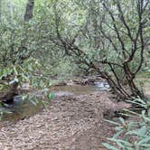 Review photo of Pisgah National Forest Wash Creek Horse Camp by Max O., August 24, 2019