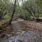 Review photo of Pisgah National Forest Wash Creek Horse Camp by Max O., August 24, 2019