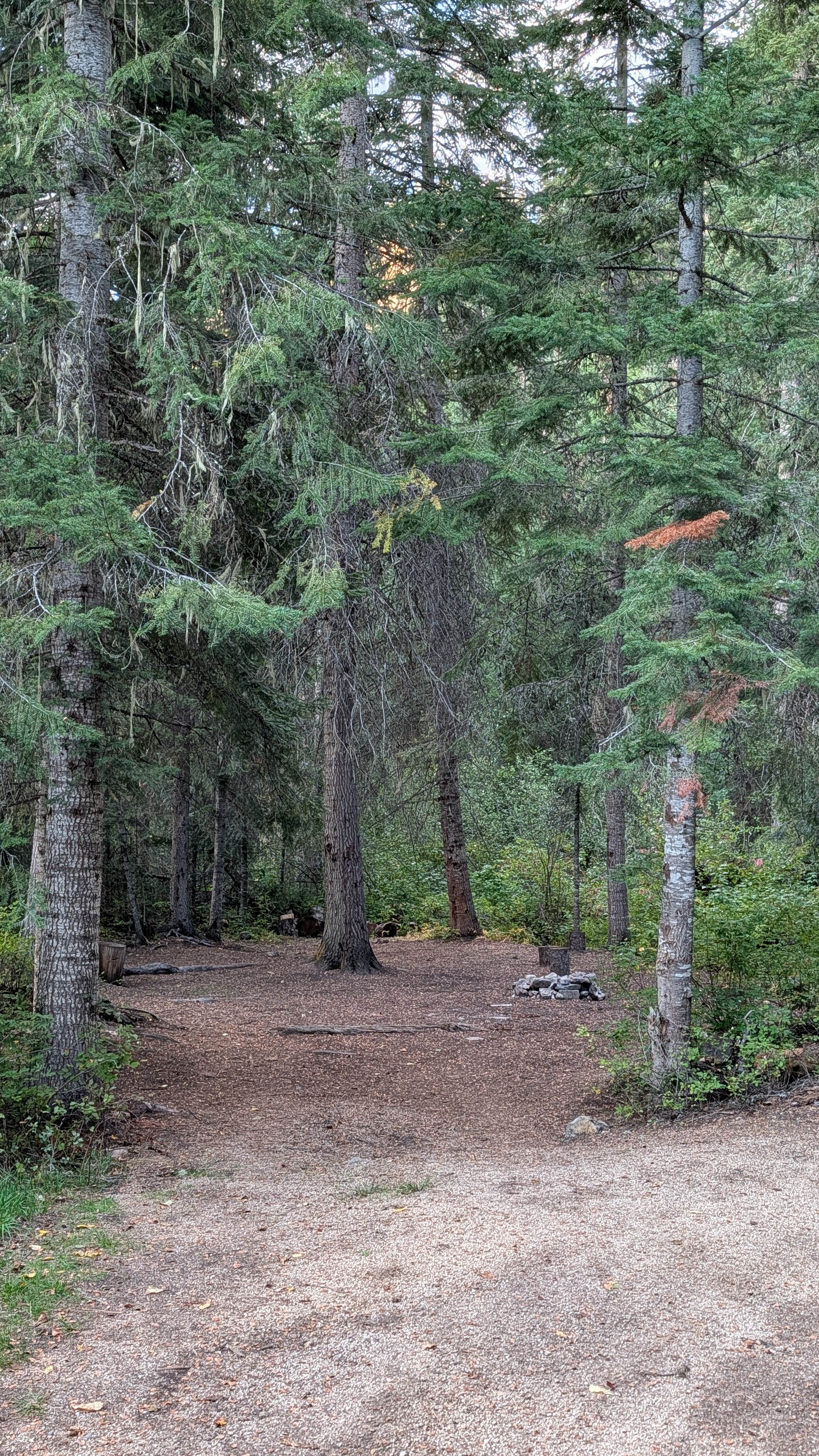 Camper submitted image from Magruder Crossing Campground - 2