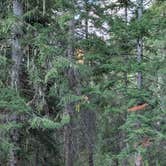 Review photo of Magruder Crossing Campground by Bill , November 25, 2025