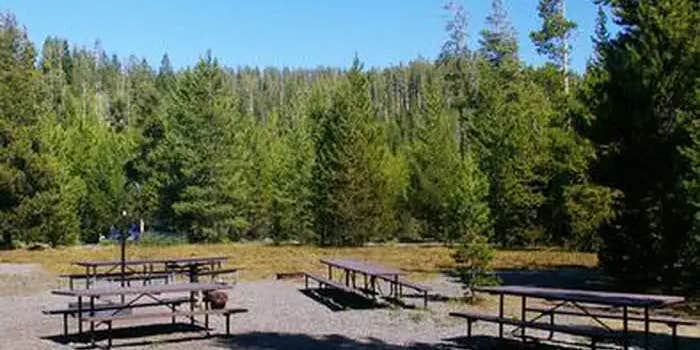 Camper submitted image from Big Springs Grp. Area - Island Park