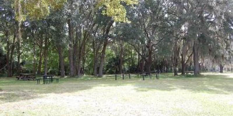 Camper submitted image from Ocala National Forest River Forest Group Camp