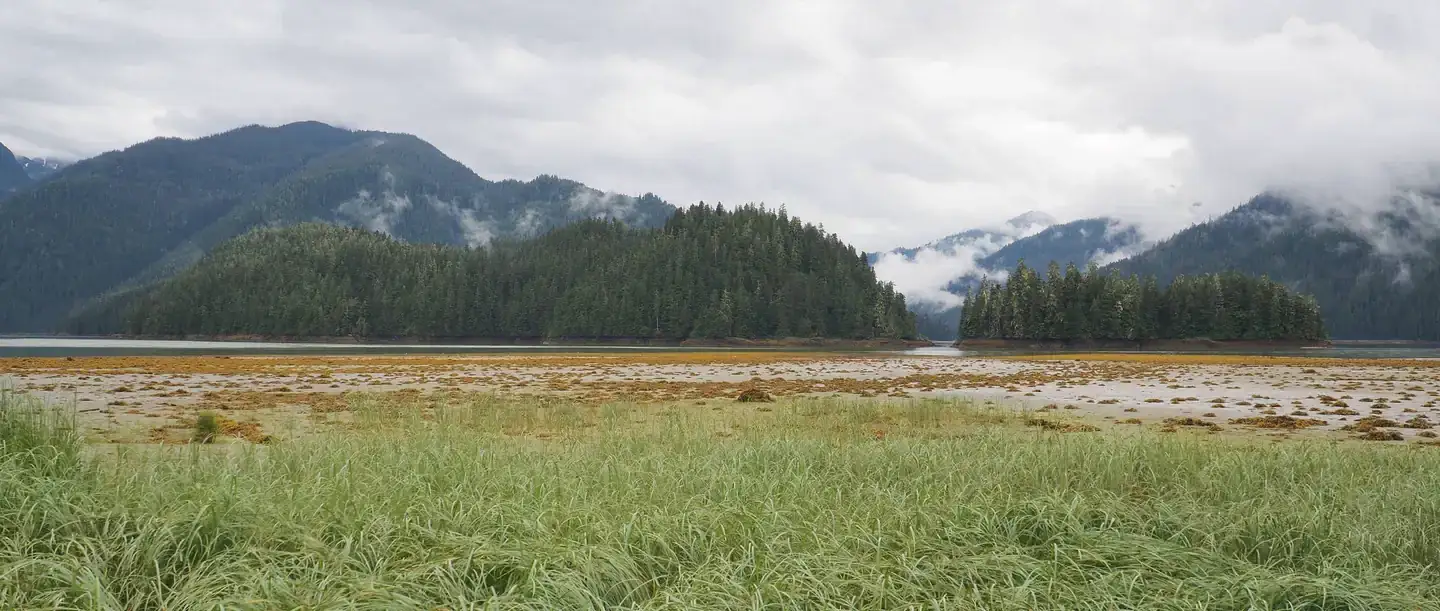 Camping near Anchor Pass Cabin: Harding River Cabin, Wrangell, Alaska