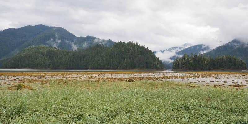 Camper submitted image from Harding River Cabin