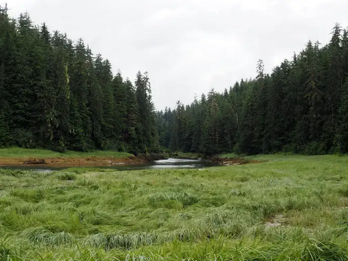 Camper-submitted photo at Harding River Cabin near Wrangell, AK