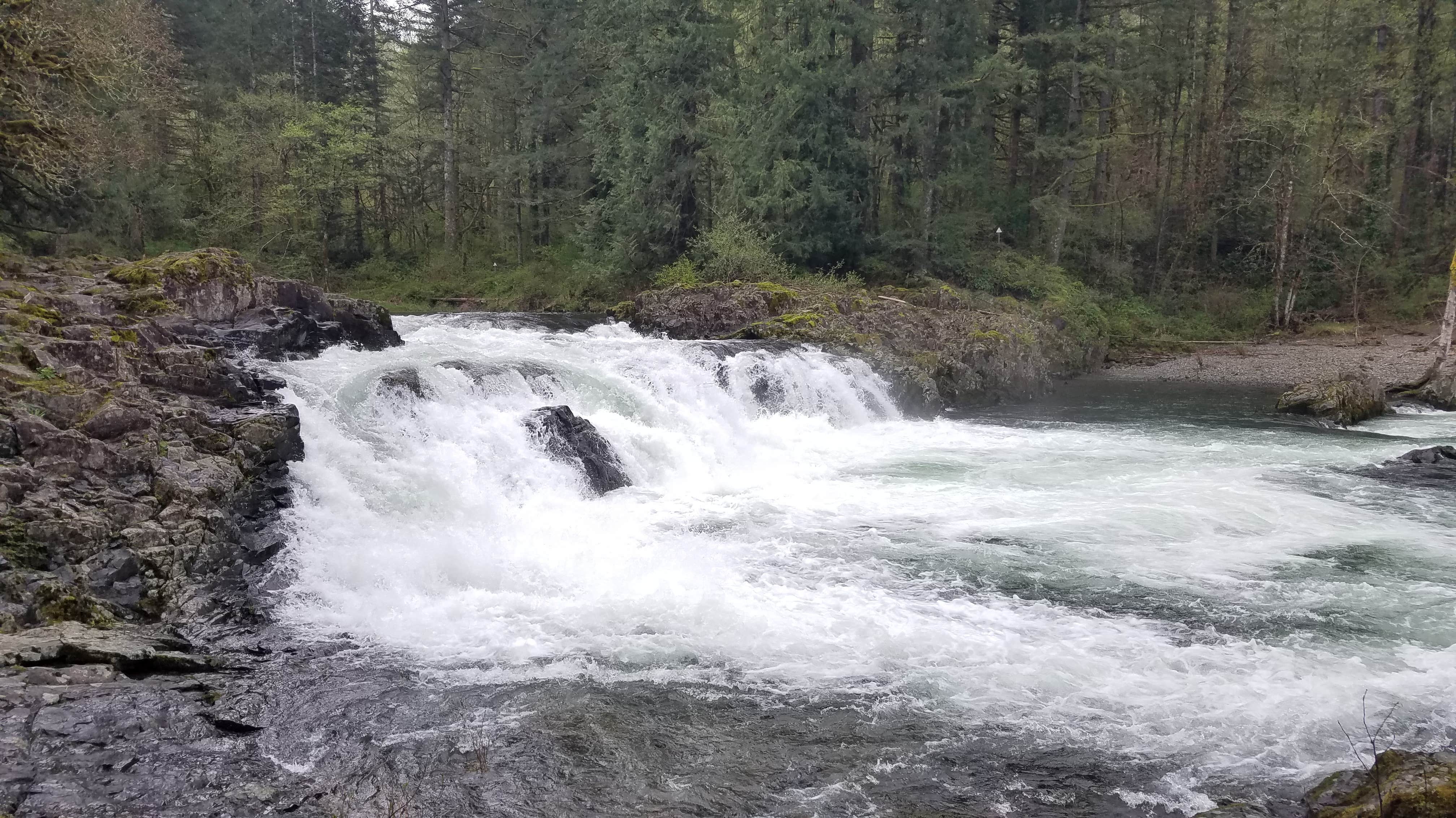 Camper-submitted photo at Lewis River Campground Community of Christ near Yacolt, WA