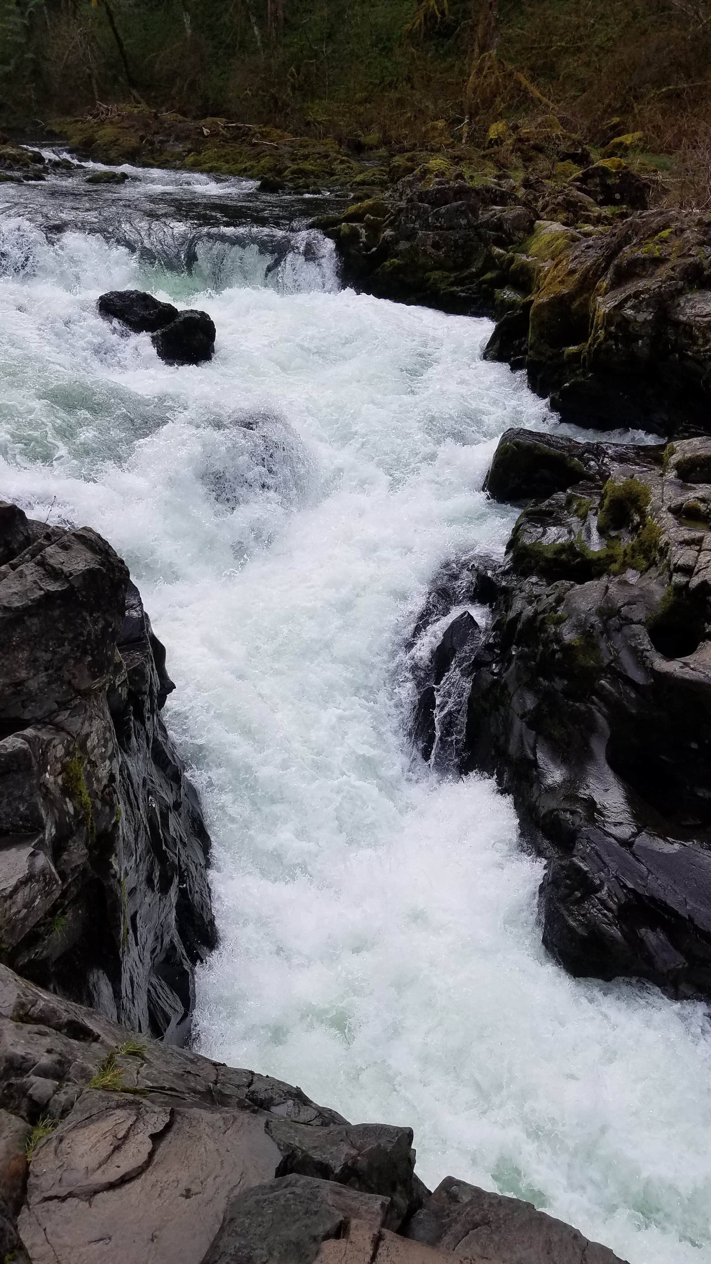Camper-submitted photo at Lewis River Campground Community of Christ near Yacolt, WA