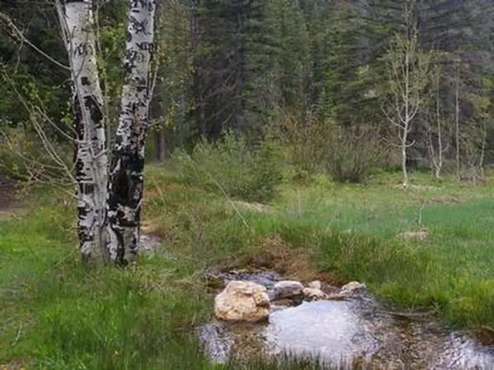 Camper-submitted photo at Cedar Canyon near Cedar City, UT