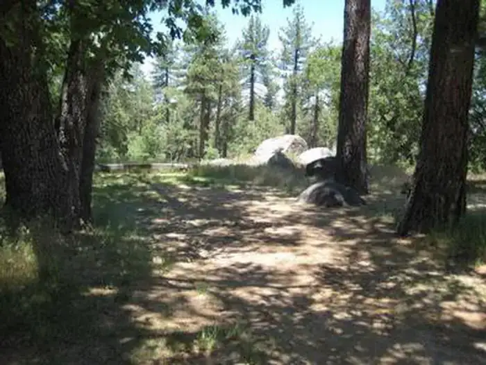 Camping near Vallecito County Park: Wooded Hill Group, Mount Laguna, California