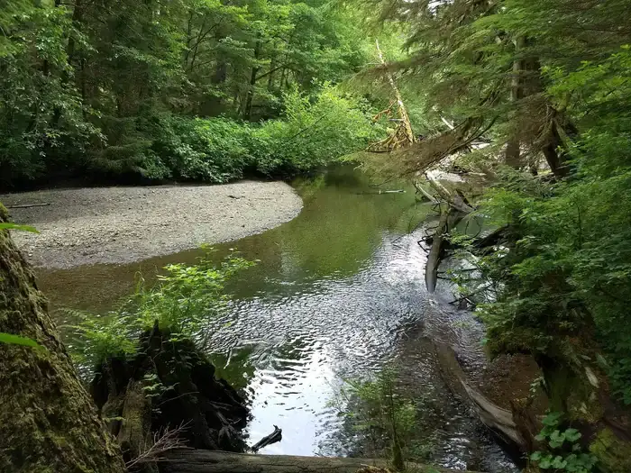 Camper-submitted photo at Starrigavan Creek Cabin near Sitka, AK